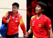 雷火电竞亚洲先驱-德国乒乓球队血洗瑞典乒乓球队，王皓送出助攻的简单介绍