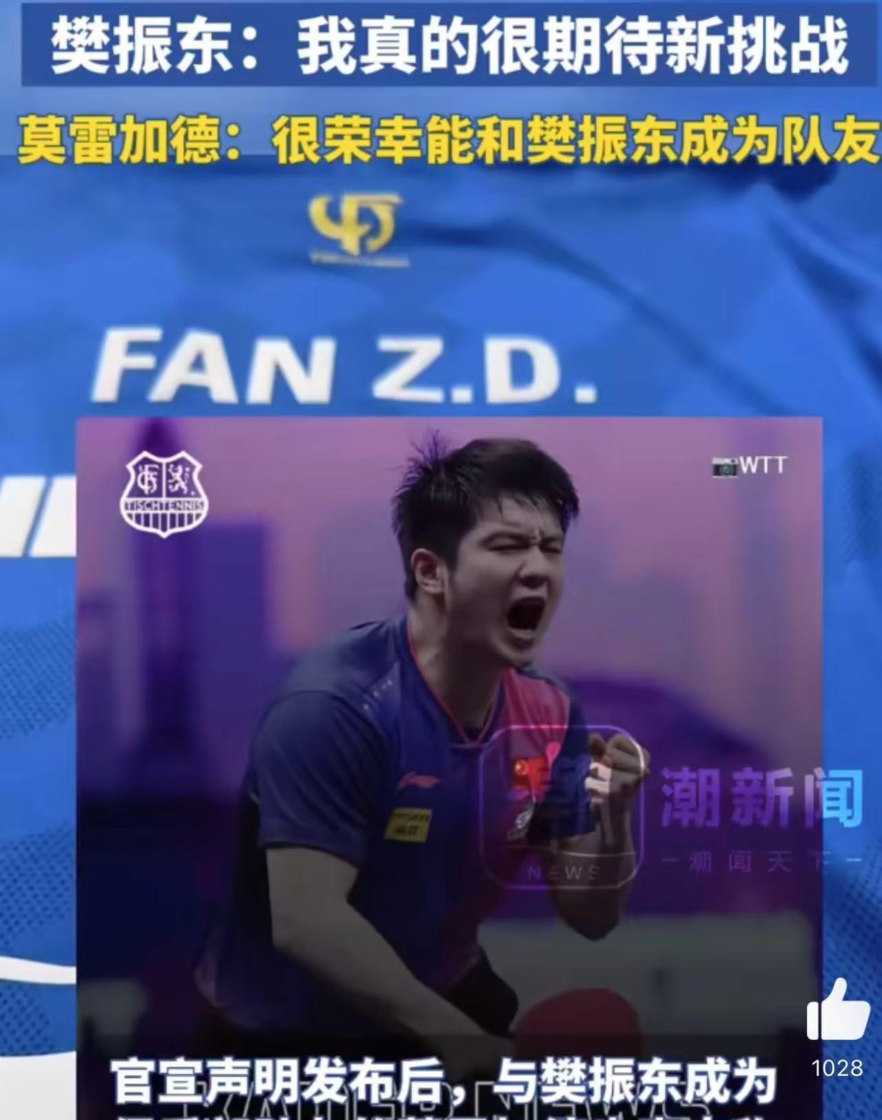 包含奥地利乒乓球队横扫德国乒乓球队，樊振东打破历史纪录的词条