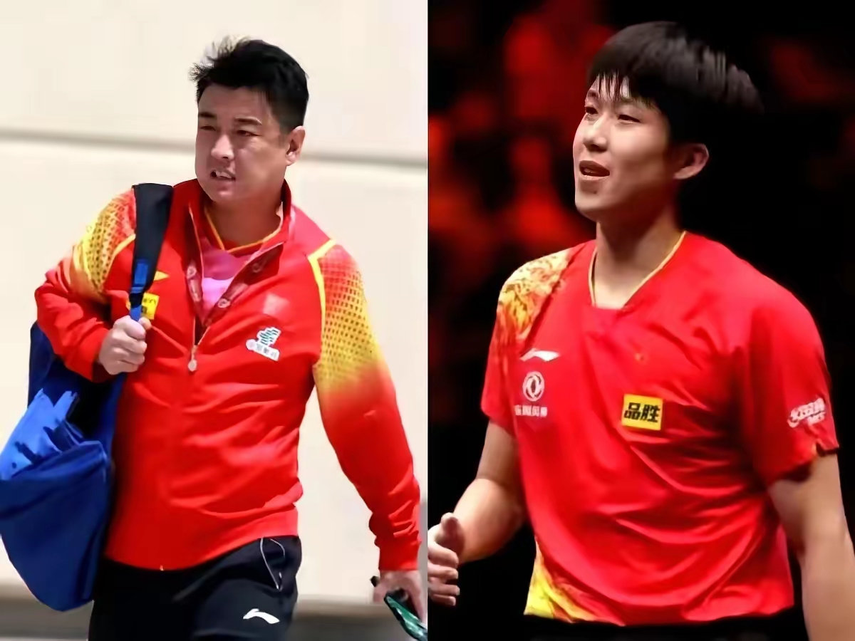 德国乒乓球队血洗瑞典乒乓球队，王皓送出助攻的简单介绍