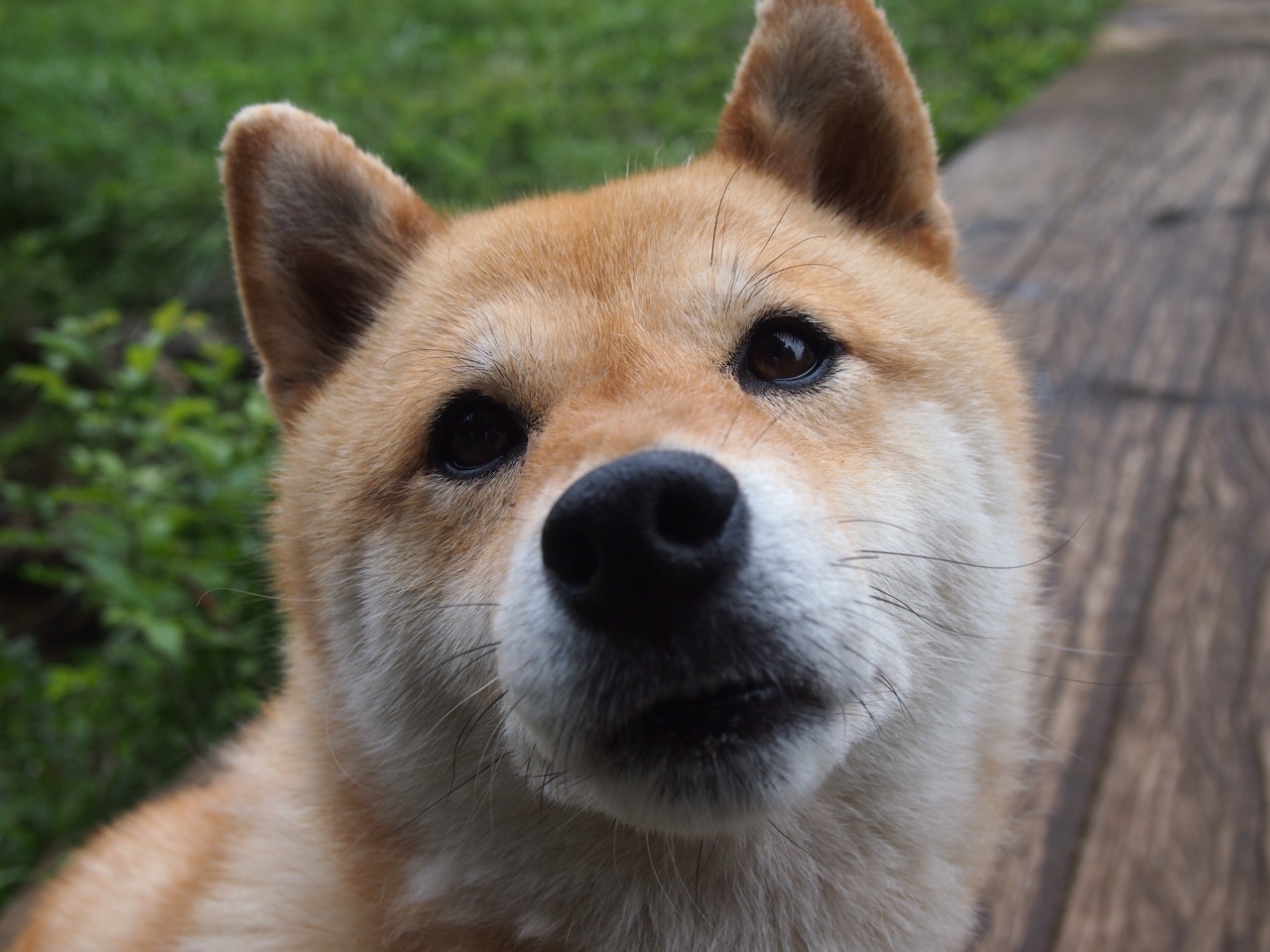 慈善赛奇观，萨拉赫单骑戏红魔，库尔图瓦十连扑定乾坤