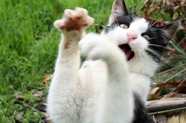 蒂亚戈的三百六十四次触碰，与最后一秒的绝杀音符