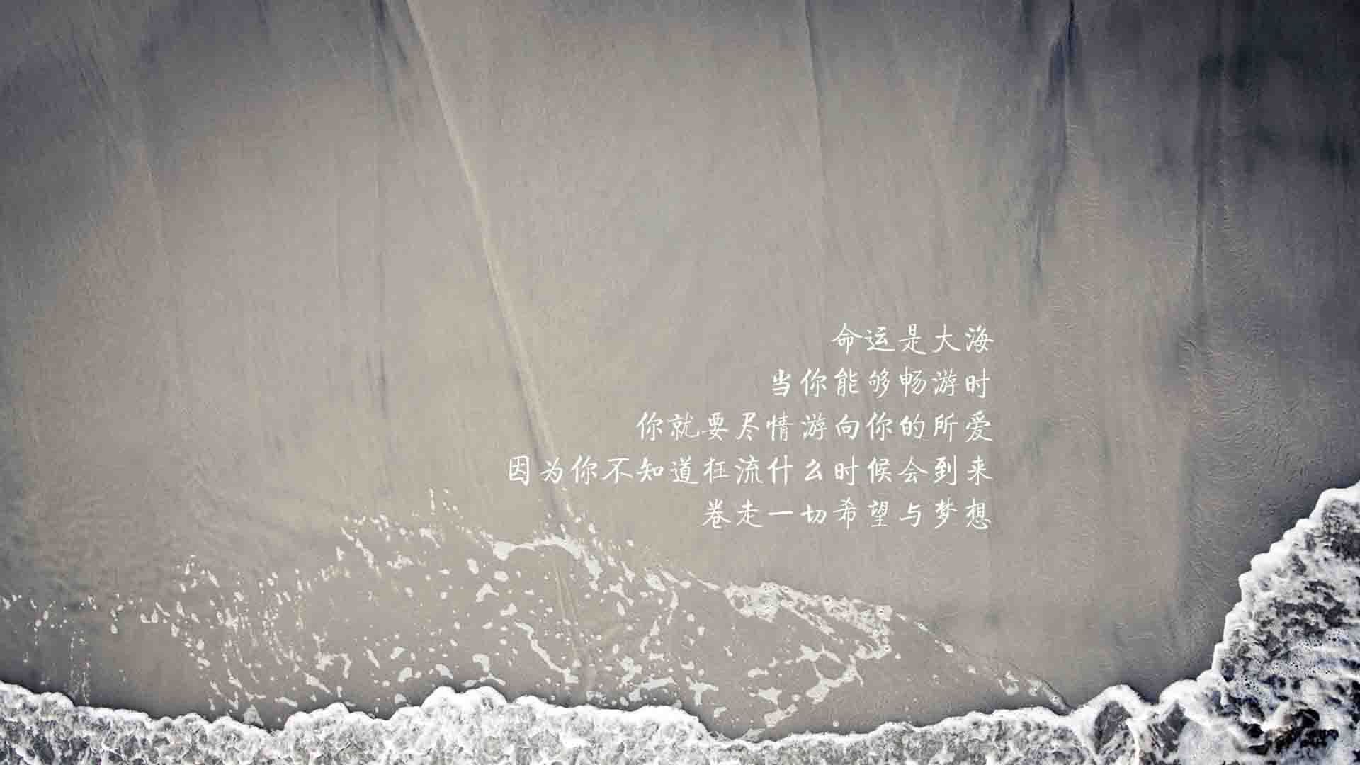 2026世界杯A组强强对话,厄瓜多尔战术压制澳大利亚,内马尔独舞闪耀全场