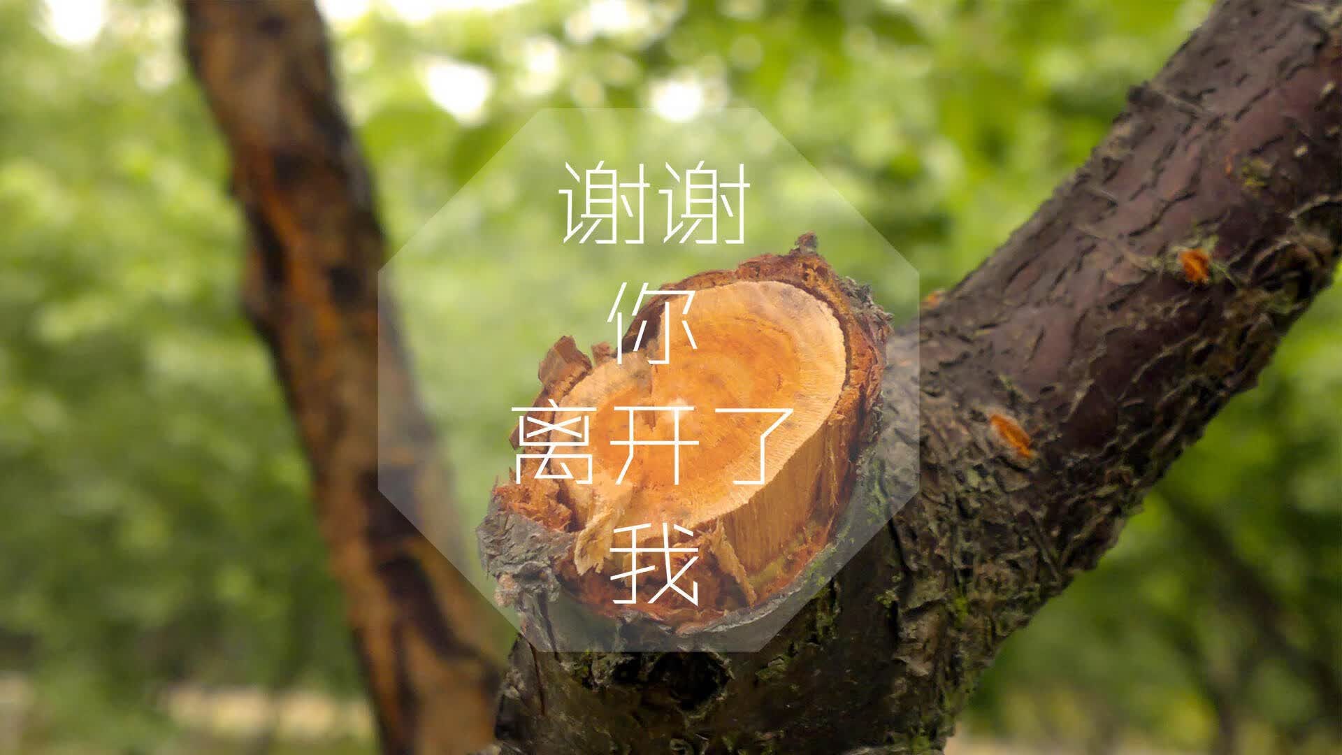 扩展